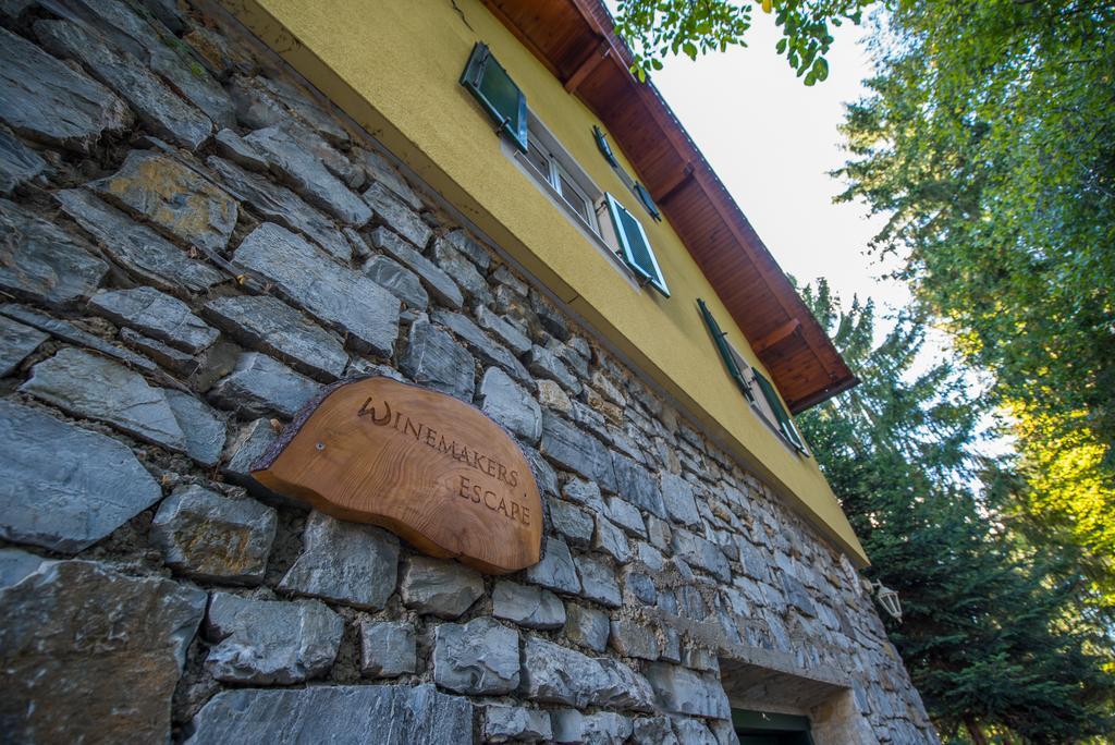 Winemakers Escape Villa Gleisdorf Kültér fotó